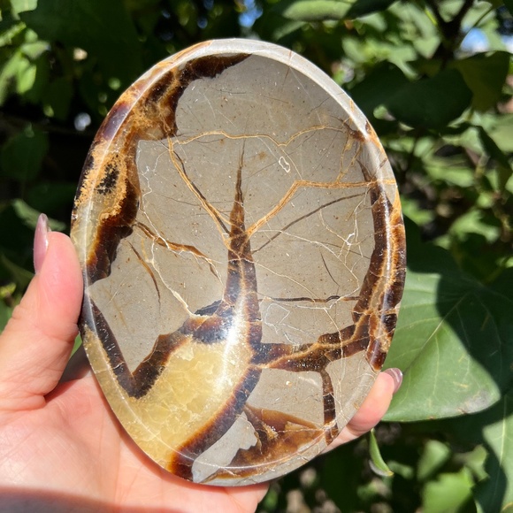 Septarian (1) bowl | crystal - Picture 1 of 14
